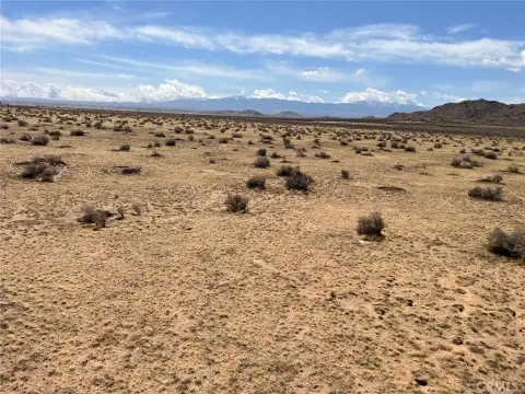 20 Acres of Desert Land