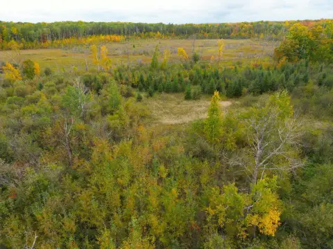 Wooded Hunting Land