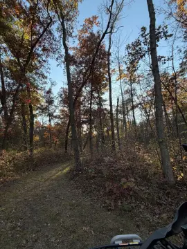 Land with Creek Frontage