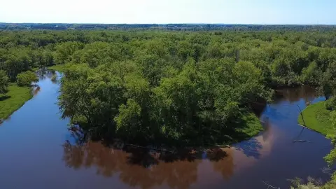 319 Acres on Pere Marquette River