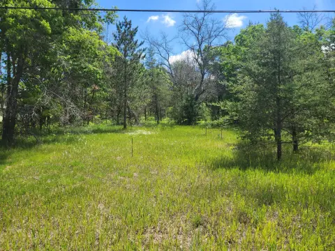 Wooded Commercial Land Parcel