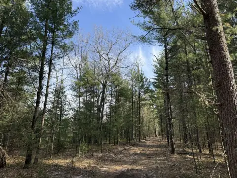 Wooded Residential Land with Trails