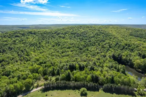 Recreational Hunting Land with Creek