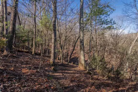 Residential Lot in Quiet Cul-de-Sac