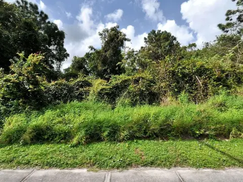 Commercial Land on Bayshore Boulevard