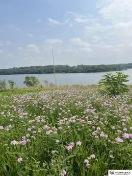 Residential Lot in Lake Cunningham