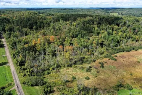 Hunting Land with Trail Network