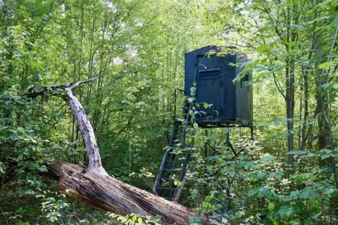 Hunting Land with Pole Barn Cabin