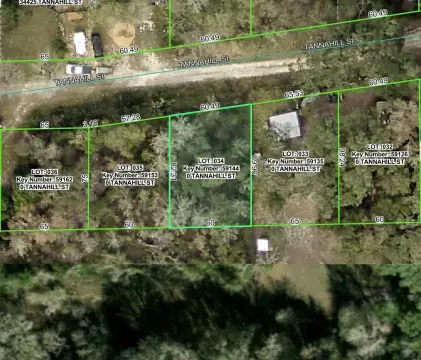 Land Parcel in DADE CITY
