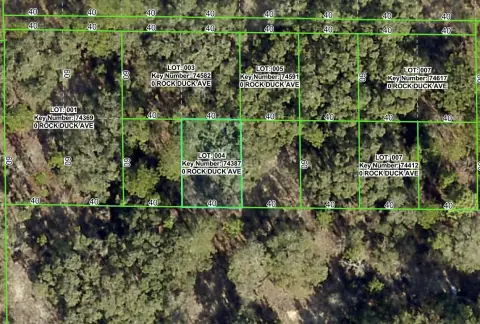 Land Parcel in Brooksville, Florida
