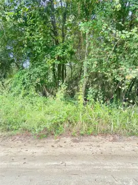 Corner Lot Near Rainbow Springs