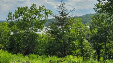 Residential Land with Lake View