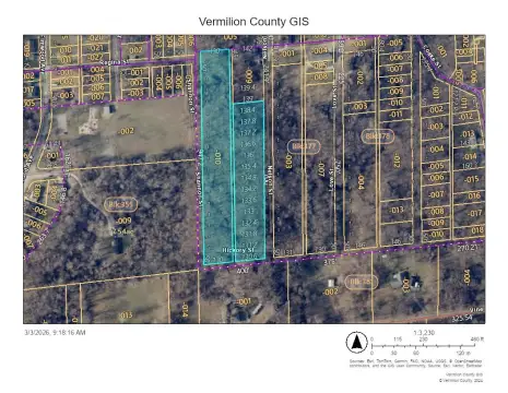 Danville, IL Vacant Wooded Land