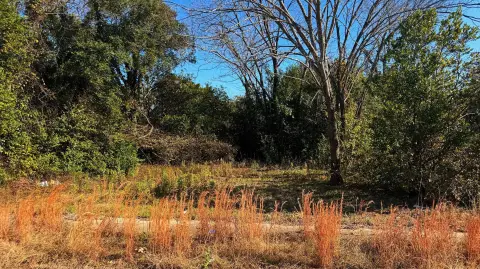 Residential Lot in Augusta, GA