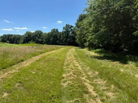Recreational Hunting Land Tract