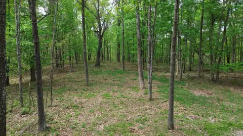 Kentucky Hunting, Timber & Recreational Land