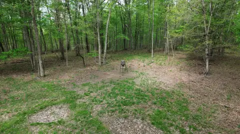 Kentucky Hunting, Timber & Recreational Land