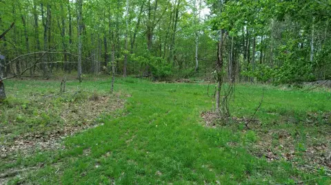 Secluded Acreage in Eastern Kentucky