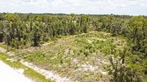 Cleared Acreage Near Keaton Beach