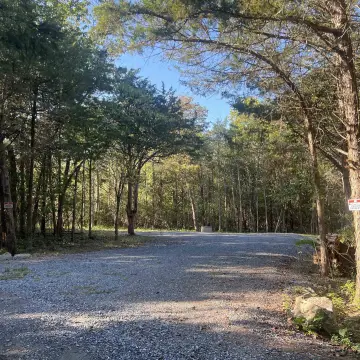 Cleared Lot Near Shenandoah