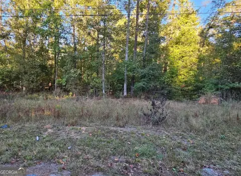 Residential Lot Near Bear Creek