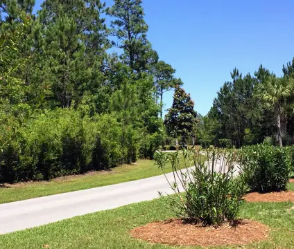 Large Lot in Bay Harbour