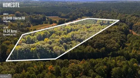 Carlton, GA Land For Sale
