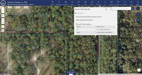 Residential Lot Near Ocala Forest