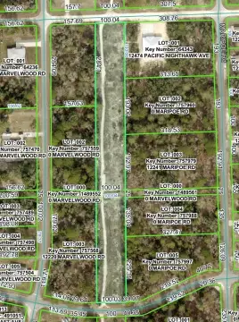 Recreational Land Parcel in Brooksville
