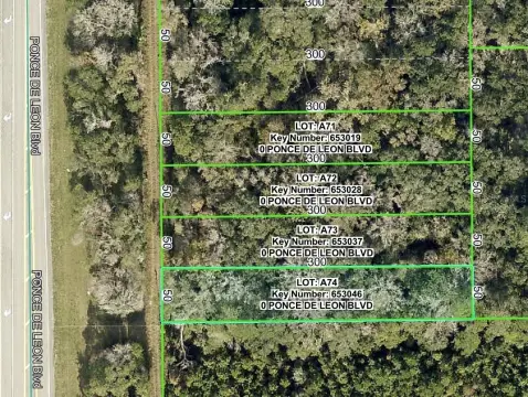 Land in BROOKSVILLE, Florida