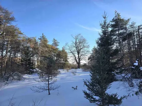 Serene Harbor Springs Acreage