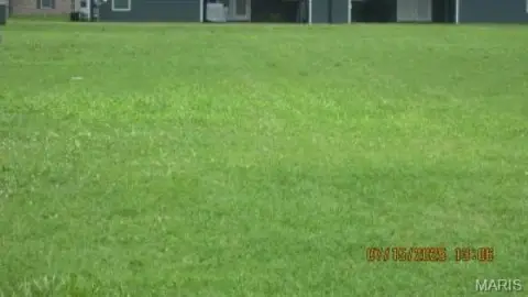 Commercial Land