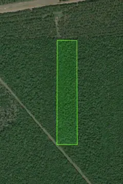 Heavily Wooded Land for Hunting