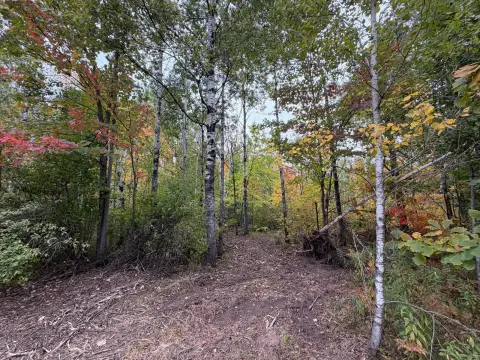 Wooded Hunting Land