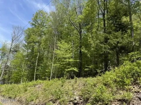 Land with Cabin in Petersburgh
