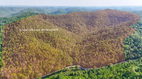 276 Acres in Hinkle, KY