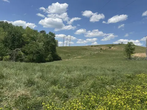 Land in Pittsburg Landing
