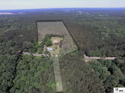 Unrestricted Wooded Hunting Land