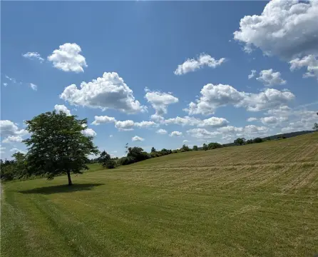 Mostly Cleared Land with Pond
