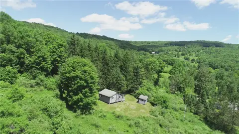 Hunting and Recreation Land with Cabin