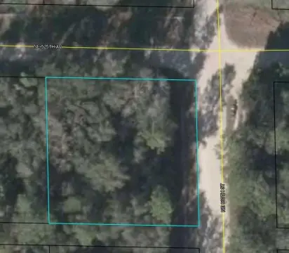 Wooded Lot in Old Town