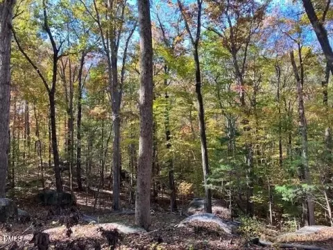 Residential Land in Roxboro, NC