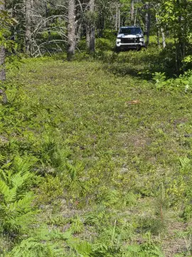 WoodeD Elevated Recreational Land