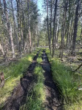 Hunting Land Block with 50 Lots