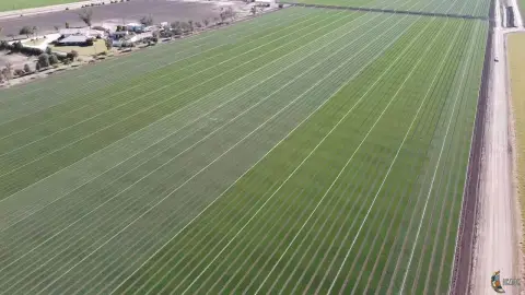 Organic Agricultural Farm