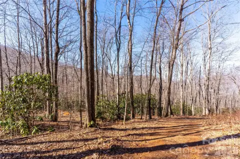 Swannanoa Land: Mountain Living