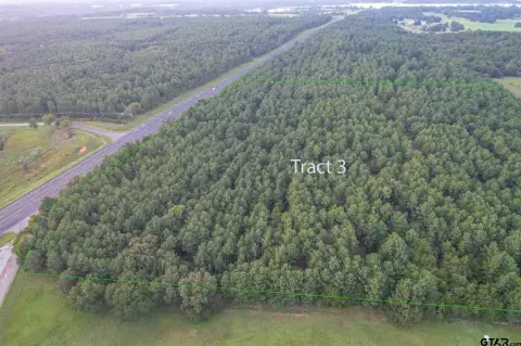 Commercial Land with Pine Timber