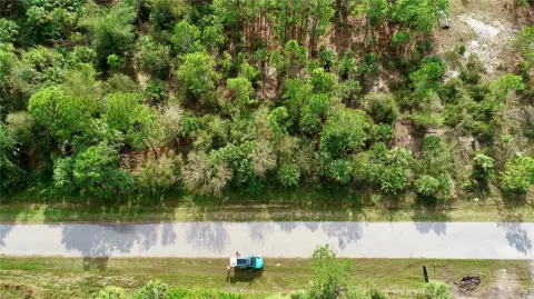 Residential Lot in Punta Gorda