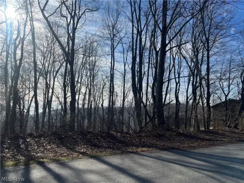 Residential Land in Toronto, OH