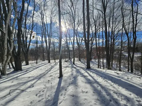 Gorgeous Wooded Acreage with Creek